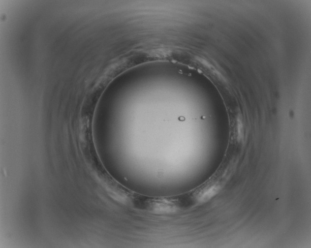 X0000071380229200606261421