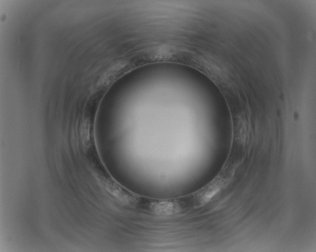 X0000071380230200606261421