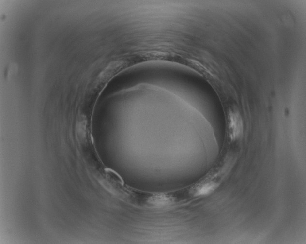 X0000071380231200606261421