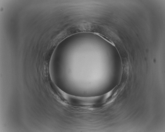 X0000071380233200606261421