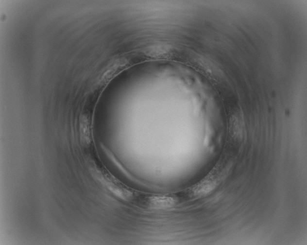 X0000071380234200606261421