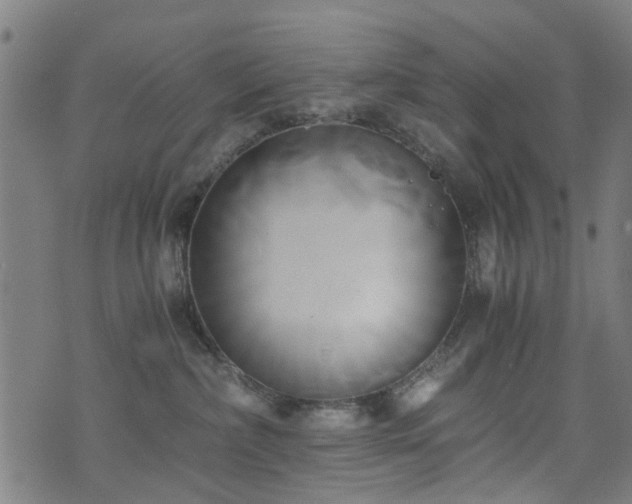 X0000071380236200606261421