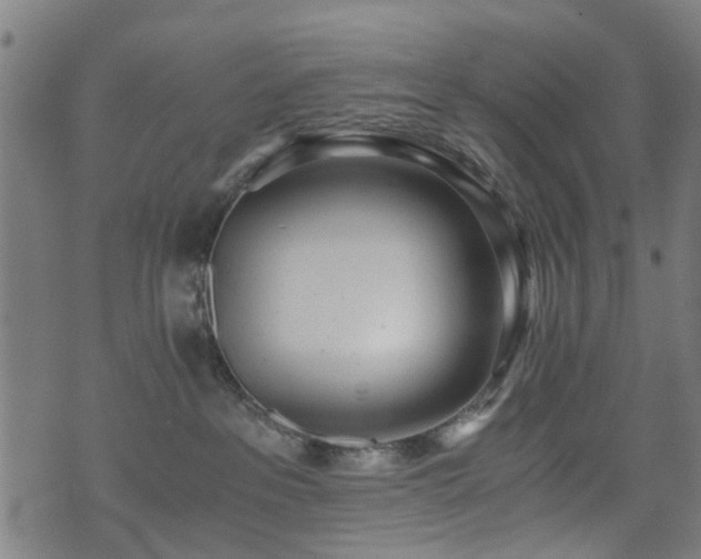 X0000071380237200606261421