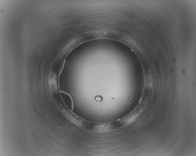 X0000071380238200606261421