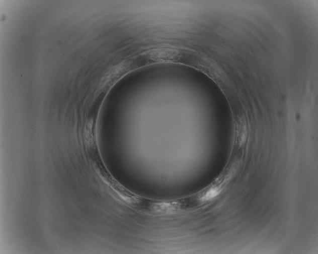 X0000071380239200606261421