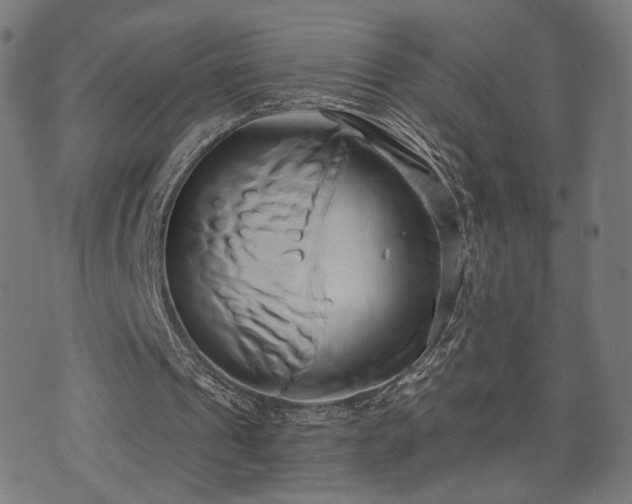 X0000071380241200606261420