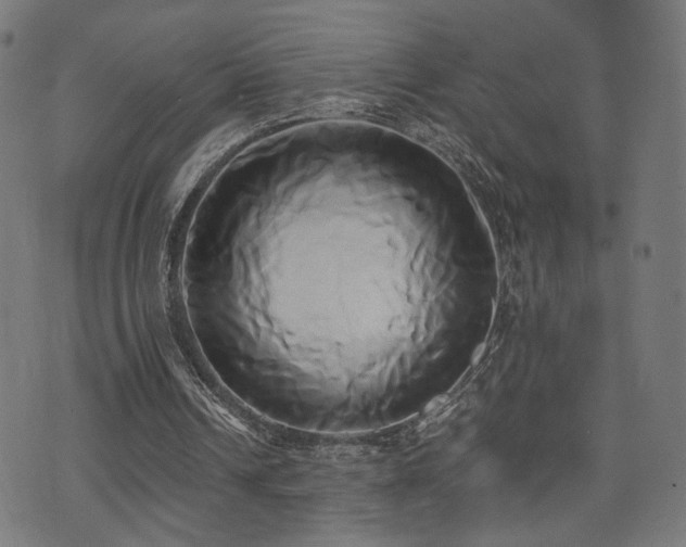 X0000071380242200606261420