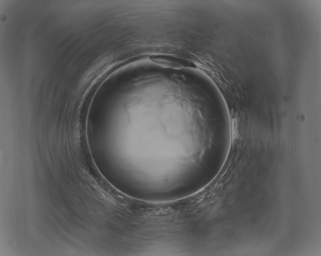 X0000071380243200606261420