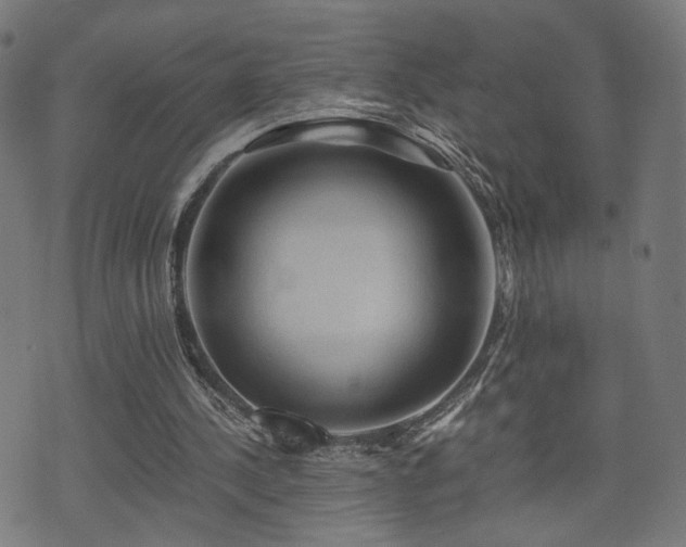 X0000071380244200606261420