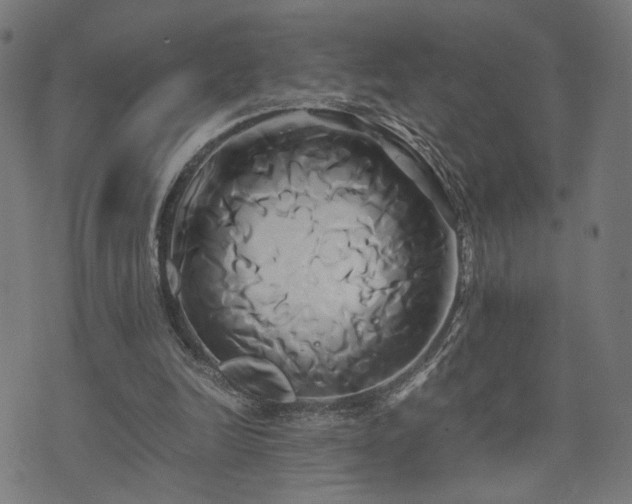 X0000071380246200606261420