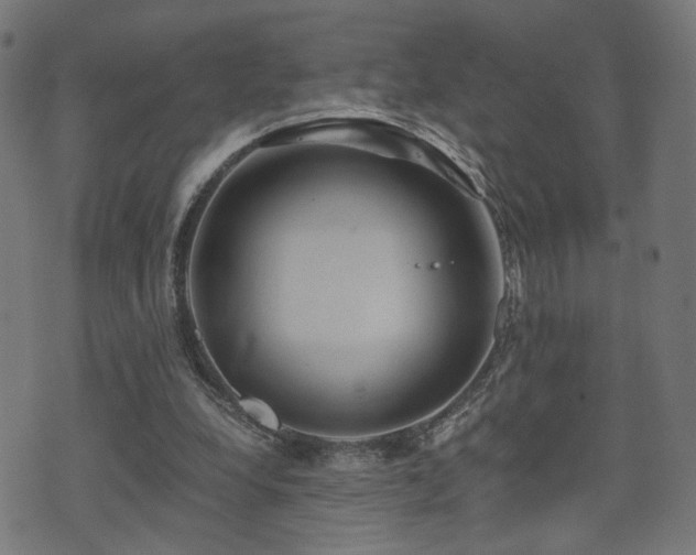 X0000071380248200606261420