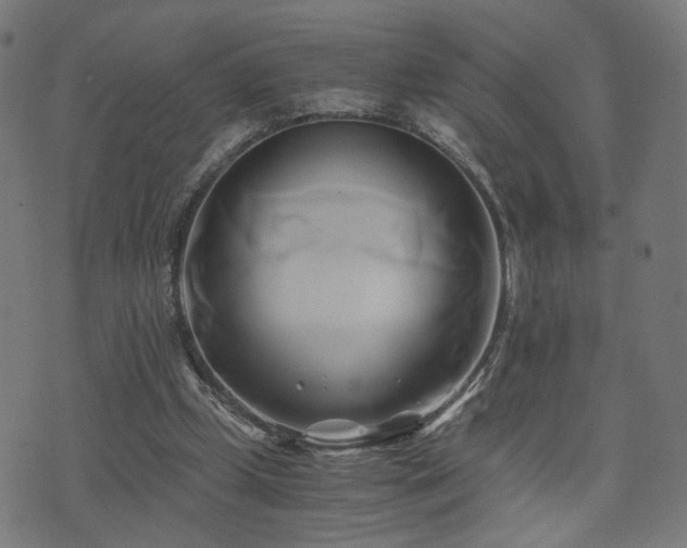 X0000071380249200606261420