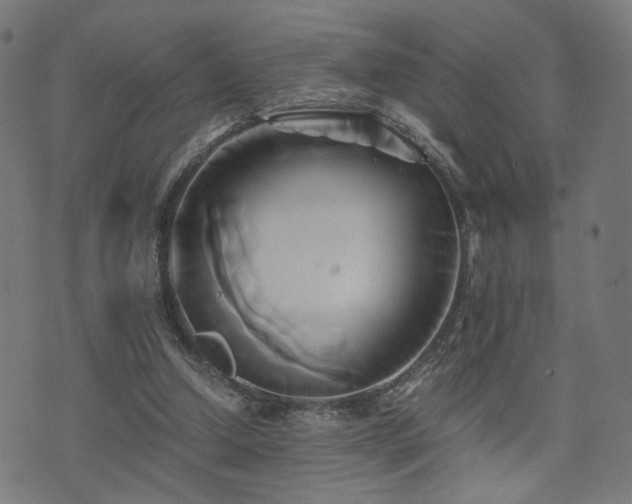 X0000071380250200606261420