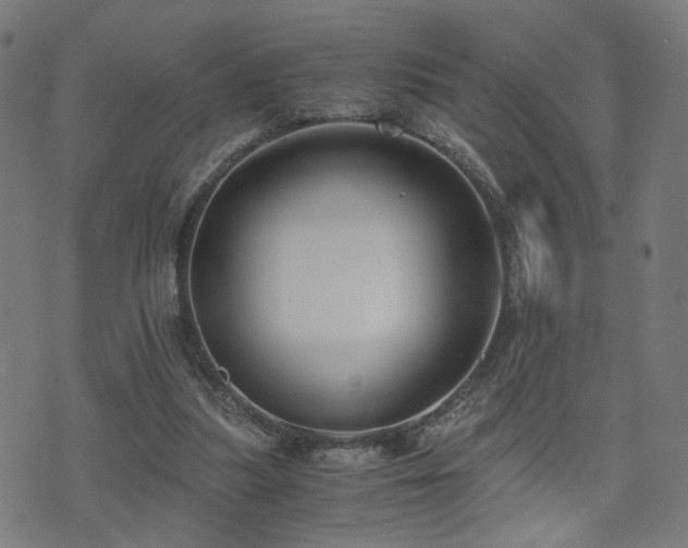 X0000071380251200606261420