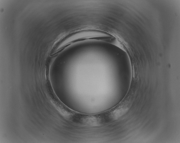 X0000071380253200606261420