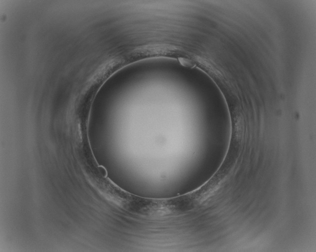 X0000071380254200606261420