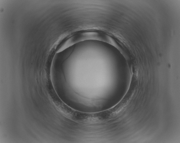 X0000071380256200606261420