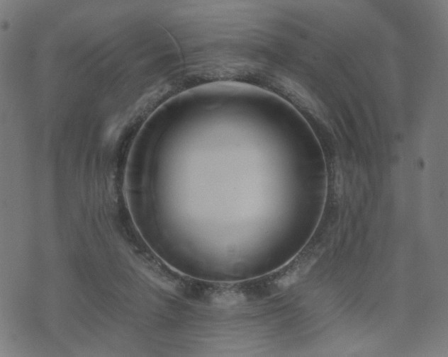 X0000071380258200606261420