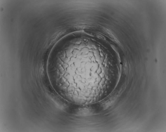 X0000071380259200606261421