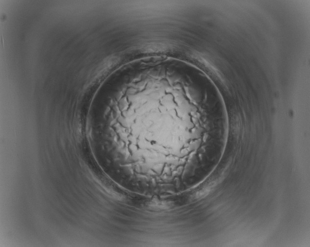 X0000071380261200606261421