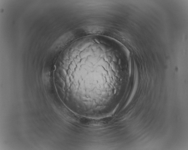 X0000071380263200606261421