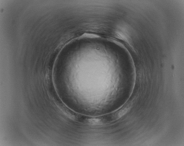 X0000071380265200606261421