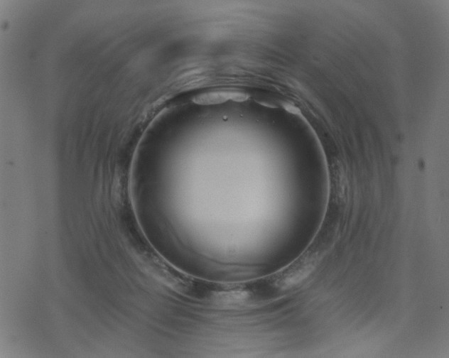 X0000071380266200606261421