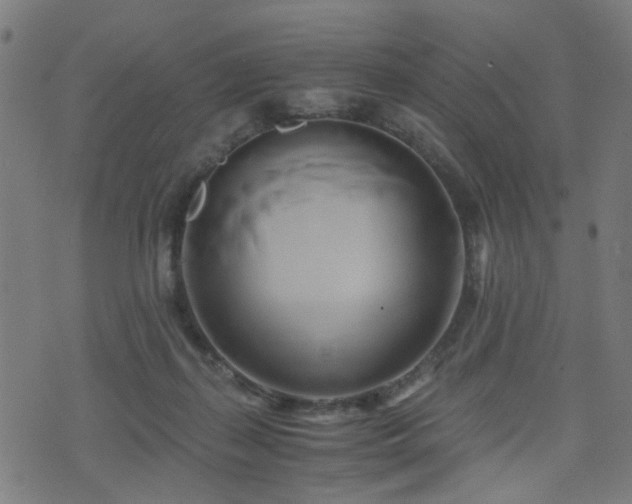 X0000071380267200606261421