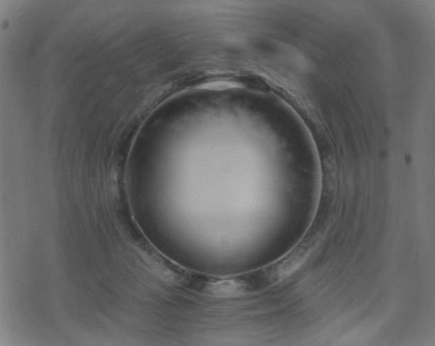 X0000071380269200606261421