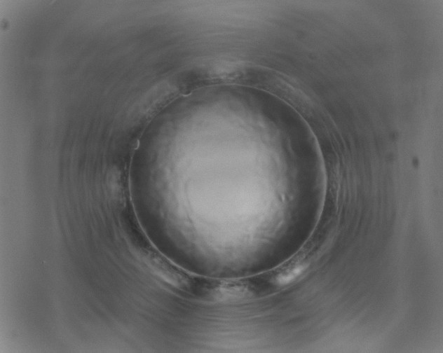 X0000071380270200606261421