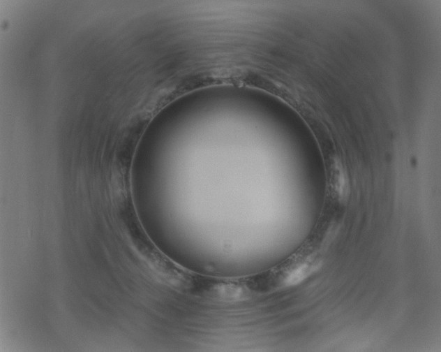 X0000071380272200606261421