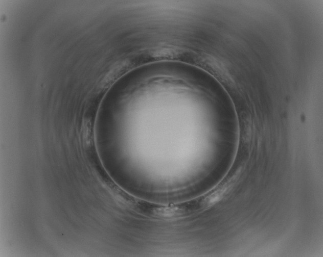 X0000071380273200606261421