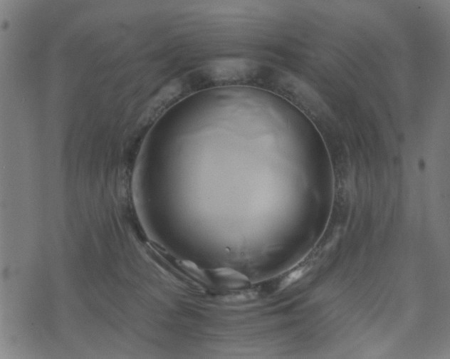 X0000071380277200606261421