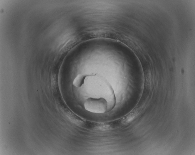 X0000071380278200606261421