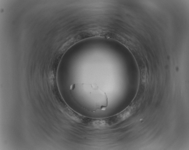 X0000071380279200606261421