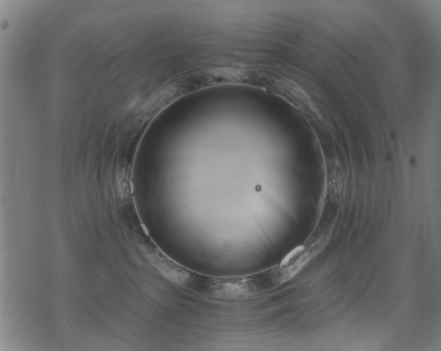 X0000071380285200606261421