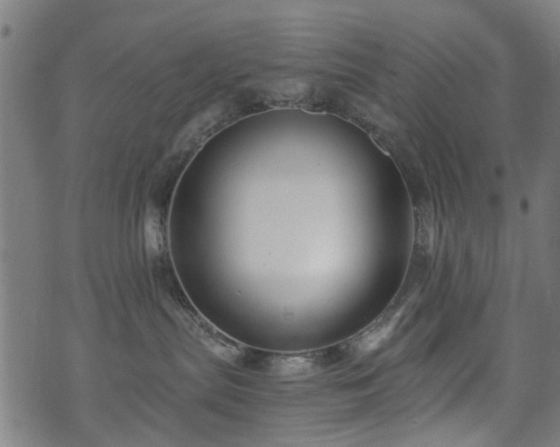 X0000071380287200606261421