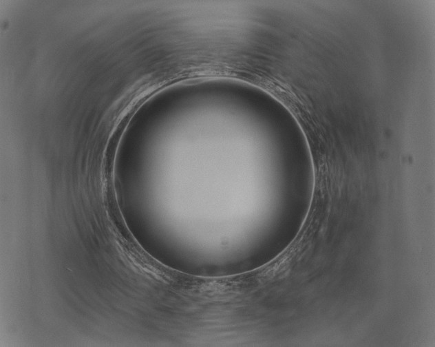 X0000071380290200606261420