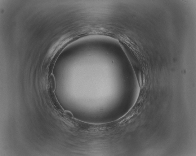 X0000071380291200606261420