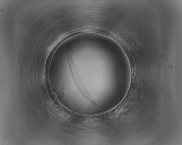 X0000071380292200606261420