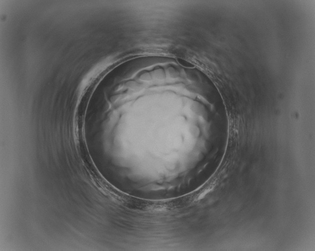 X0000071380294200606261420