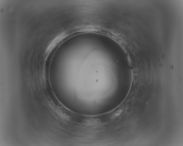 X0000071380296200606261420