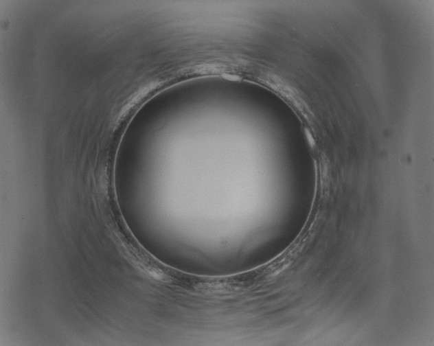 X0000071380297200606261420