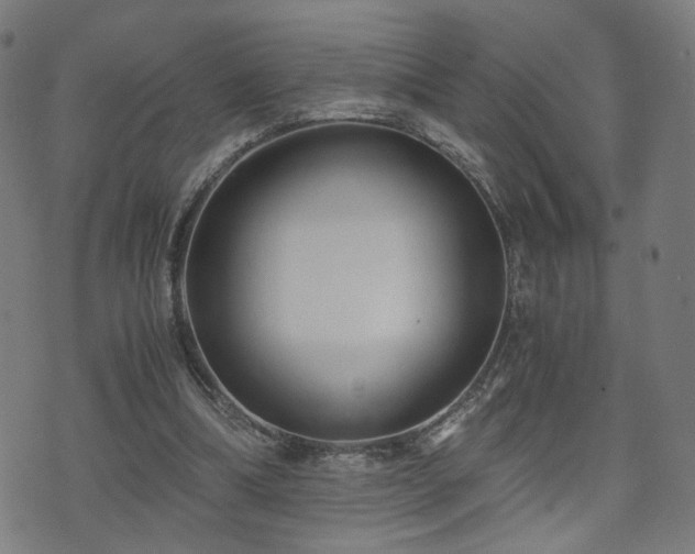 X0000071380298200606261420