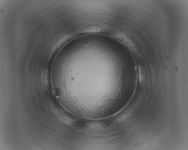 X0000071380300200606261420