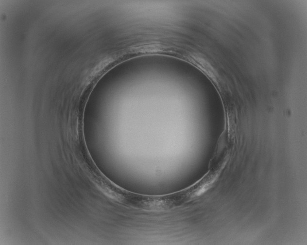 X0000071380301200606261420