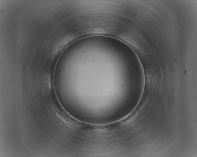 X0000071380302200606261420