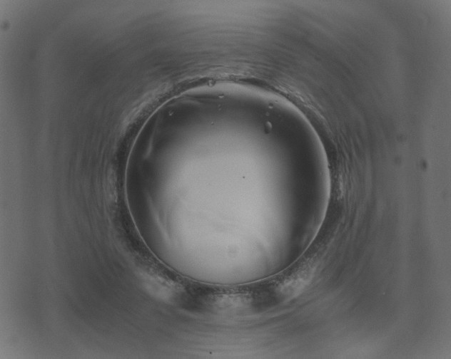 X0000071380303200606261420