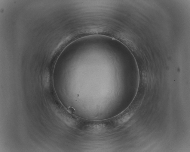 X0000071380304200606261420