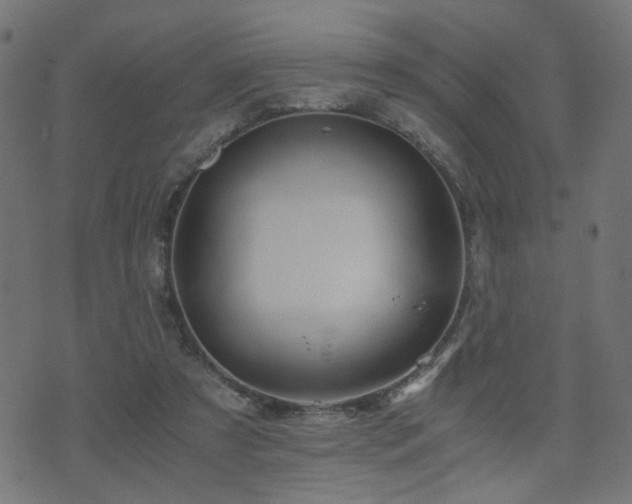 X0000071380305200606261420